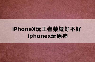 iPhoneX玩王者荣耀好不好 iphonex玩原神